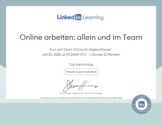 Online arbeiten: allein und im Team